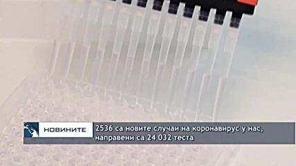 2536 са новите случаи на коронавирус у нас, направени са 24 032 теста