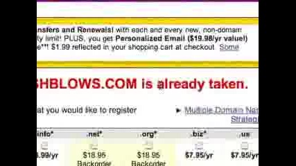 George Bush Domains