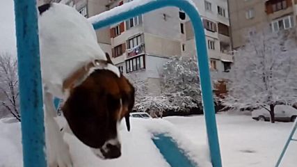 Първи сняг в "Люлин"