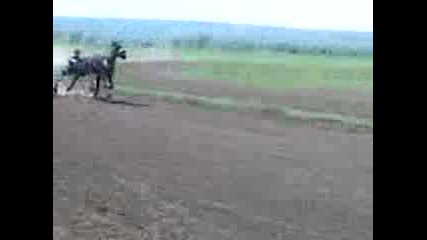 bojoa i mennda kebl 2013g v bres
