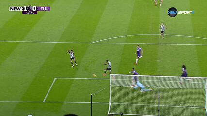 Goal by Newcastle United