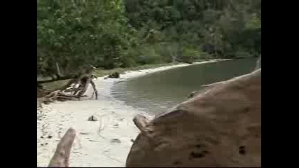 Survivor 2 (30.11.07) Част 4