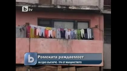 На всяко българче се раждат три ромски деца