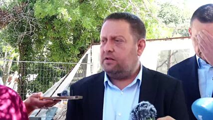 ГЕРБ-Варна посочиха нов парцел с мащабна сеч и обвиниха общината в бездействие