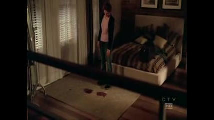 Csi New York
