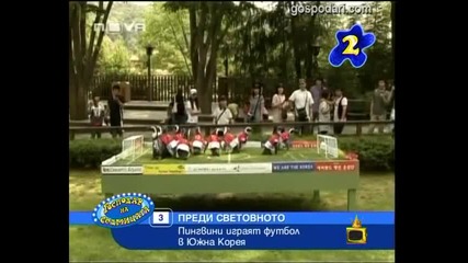 Gospodari na efira - Gospodar na sedmicata