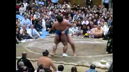 Kotooshu Отново Показва Кой Е Най - Добрия в Сумото
