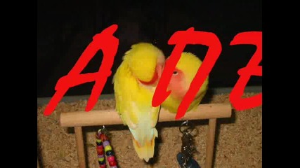 за всички влюбени ;)