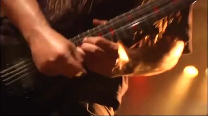 Cannibal Corpse - Death Walking Terror ( Global Evisceration Dvd 2011 )
