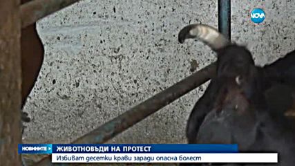 Животновъди на протест