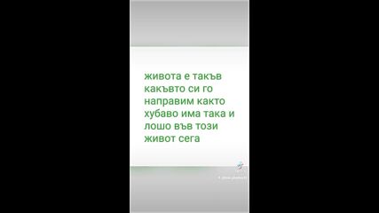 2024-11-06-145642408.mp4