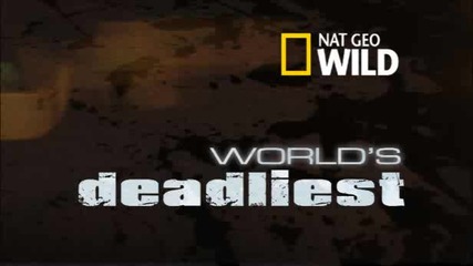 World's Deadliest: Пирани