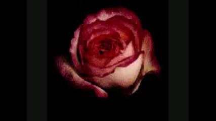 Frank Galan - Mis Amores