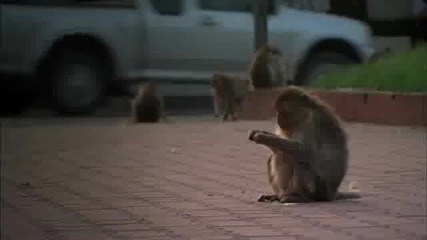 Природата такава каквато е
