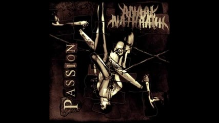 Anaal Nathrakh - Paragon Pariah ( Passion-2011)