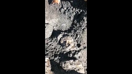 Ново уникално откритие на Хераклея Синтика: Намериха майсторски изваяно лице на разбит и ограбен гро
