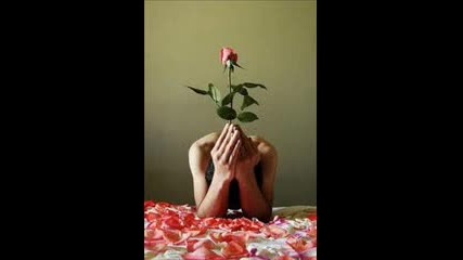 Beki Bekic - Dali je grijeh
