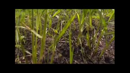 Discovery Channel Planet Earth Time Lapse