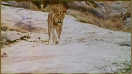I Will Always Love You by Saxofon Music - Christian The Lion at World's End