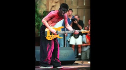 Limp Bizkit (wes Borland)