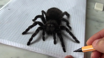 Страхотна реалистична рисунка на паяк