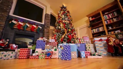 Puppy Christmas