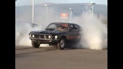 Mustang Burnout