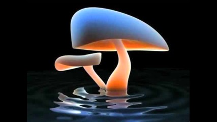 House Music 2010