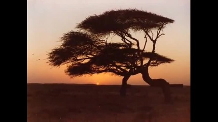 Andrea Bocelli - E sara` a Settembre