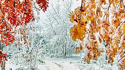 Зима през есента-winter in autumn