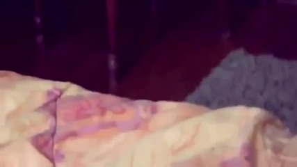 много смях с котките-(гледайте)