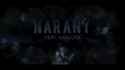 Narany feat. Krayzee - The storm