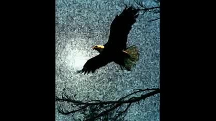 Deep Purple - When A Blind Man Cries