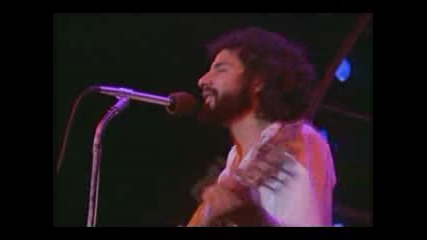 Cat Stevens - Lady Darbanville (live)