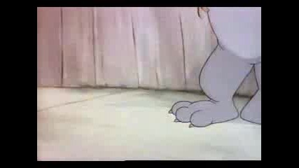 Tom & Jerry - Bodyguard