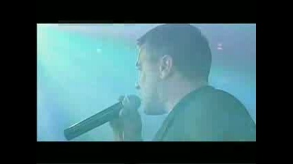 Александр  Дюмин - Волчица