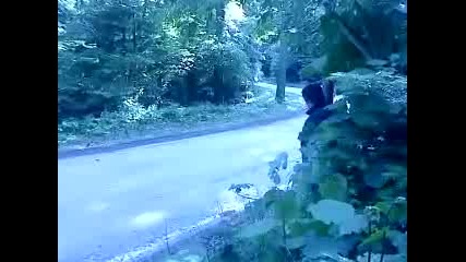Rally Deltra Croatia 2009