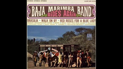 Baja Marimba Band_ More