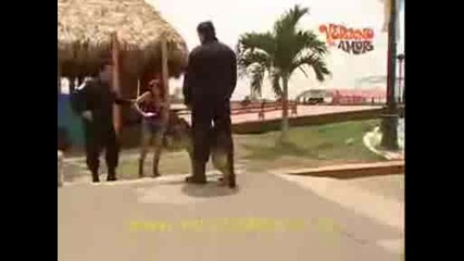 Avance Capitulo 64 de Verano de Amor