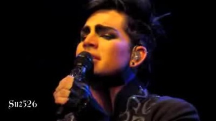 Adam Lambert - Aftermath / Live at Milan - 24.11.2010/ 