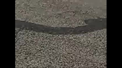 Ford Mustang 95 - Burnout 