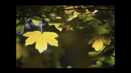 Chris Spheeris - Lanotte
