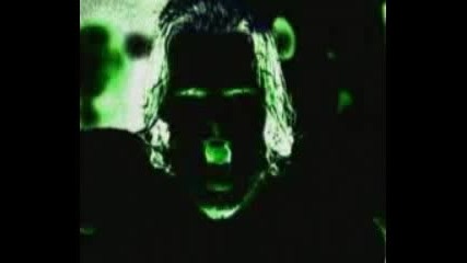 Wwe Triple H