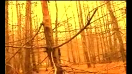 Portishead - Its A Fire