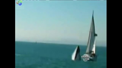 40 - тонен кит разбива яхта! (1) 