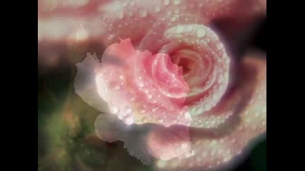Kissed By The Raindrops