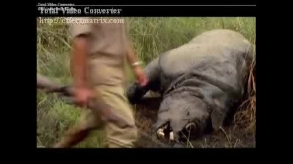 Най - Смъртоносните Животни:индийски Носорог