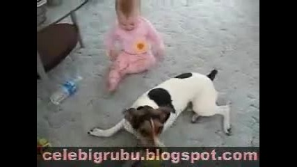 celebigrubu blogspot com myall kopek bebek 