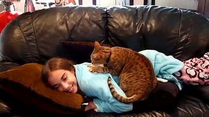 Коте масажира гърба на момиче