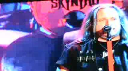 Lynyrd Skynyrd - Red, White And Blue - Live 